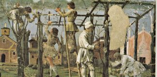 La vita sulle nostre colline