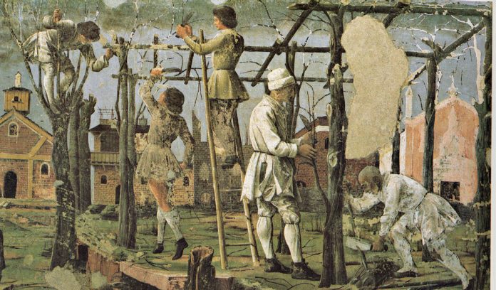 La vita sulle nostre colline