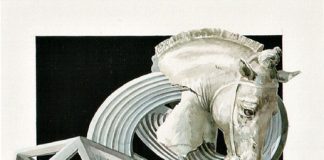 Soroptimist, da 30 anni un Palio d’autore