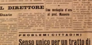 I tigli in Corso Dante e le scimmie scandalose