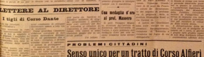 I tigli in Corso Dante e le scimmie scandalose