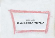 Un volo di farfalla su Settime Il volo della farfalla. Collana La Memoria, 2001