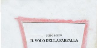 Un volo di farfalla su Settime Il volo della farfalla. Collana La Memoria, 2001
