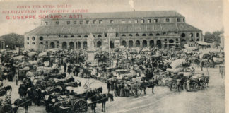 Il mondo scomparso dei bachi da seta Cartolina di propaganda dello stabilimento Bacologico Astese Giuseppe Solaro mostra Piazza Alfieri con l'Alla sullo sfondo durante il mercato dei bozzoli