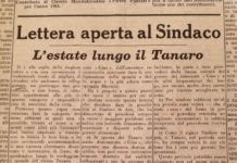 Serve un barcaiolo salva bagnanti lungo il Tanaro