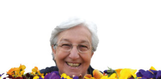 Tra i palazzi resiste l’ultimo geranio della maestra ortolana