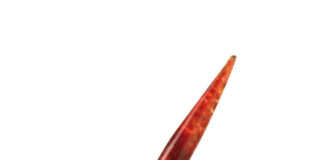 Il calamaio e la stilografica prima della rivoluzione delle Bic