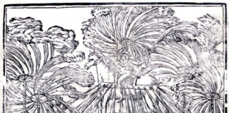 Astigiani in festa quando partiva la colomba Un’immagine dei fuochi tratta da un sonetto dedicato alle feste del Santo della seconda metà del ’700