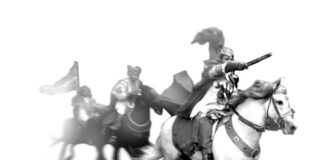 Il Palio è schierato in campo