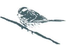 Uccelli sui rami, maiali nell’arbi e mele rassicuranti