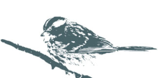 Uccelli sui rami, maiali nell’arbi e mele rassicuranti