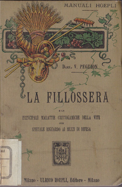 La fillossera, il flagello delle viti