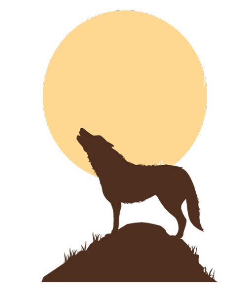 Il lupo non mangia l’inverno