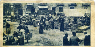 Gli ortolani di Asti inventarono la raccolta differenziata