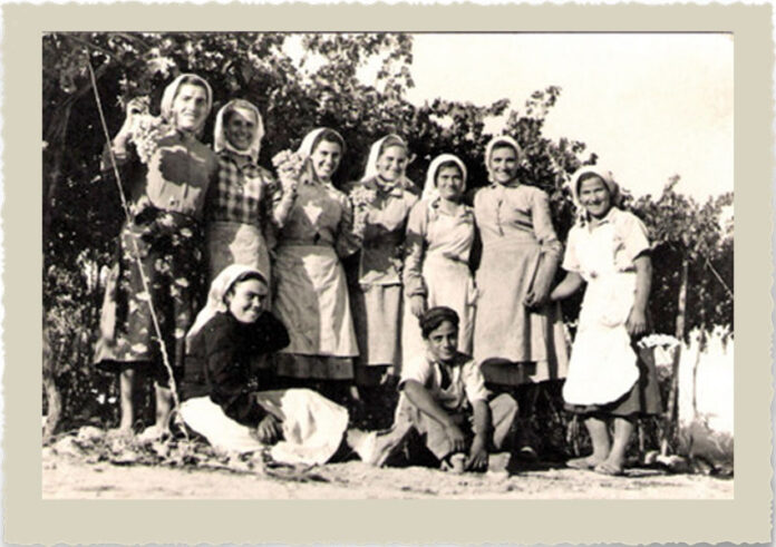 “Bôn aptit”, il pranzo della vendemmia è sotto il noce