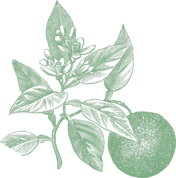 Quando a Natale il Bambin portava i purtigàl