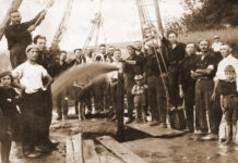 Da 125 anni arriva l’acqua da Cantarana