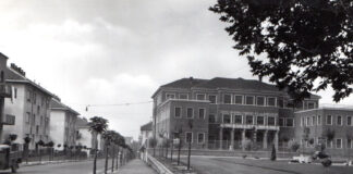 Noi che abbiamo giocato sotto gli alberi di corso Regina