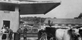 L’epopea delle cantine sociali