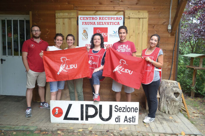 Dalla collina di Tigliole i rapaci feriti tornano a volare