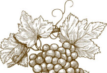 I buoni frutti dell’autunno