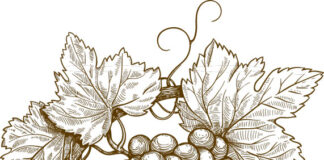 I buoni frutti dell’autunno