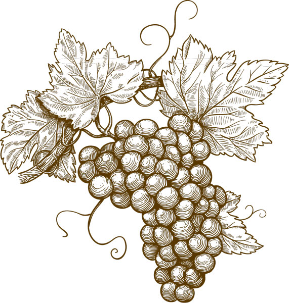 I buoni frutti dell’autunno