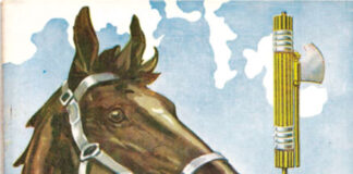 Il misterioso drappo di un Palio corso sotto falso nome