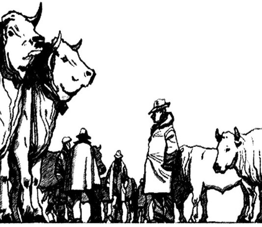 A Moncalvo il giorno dei giganti bianchi