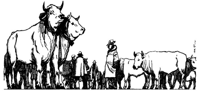 A Moncalvo il giorno dei giganti bianchi