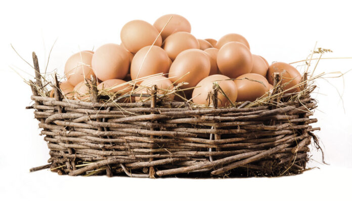 Uscire dal guscio e cantare in compagnia