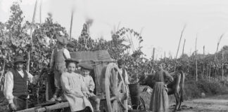 Tra “barosa” e “birucin” la curiosità del cruscotto