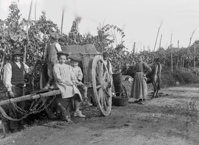 Tra “barosa” e “birucin” la curiosità del cruscotto