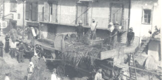 Le parole della trebbiatura