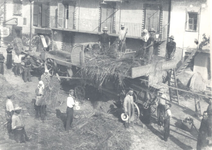 Le parole della trebbiatura