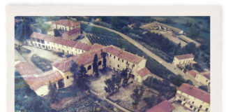 La bella addormentata nel Monferrato