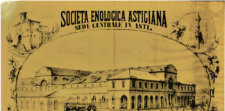 La storia di un fallimento chiamato Enofila