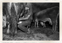 Ecco il “bruss” per chi ama i piaceri forti