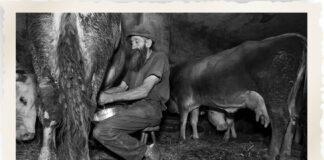 Ecco il “bruss” per chi ama i piaceri forti