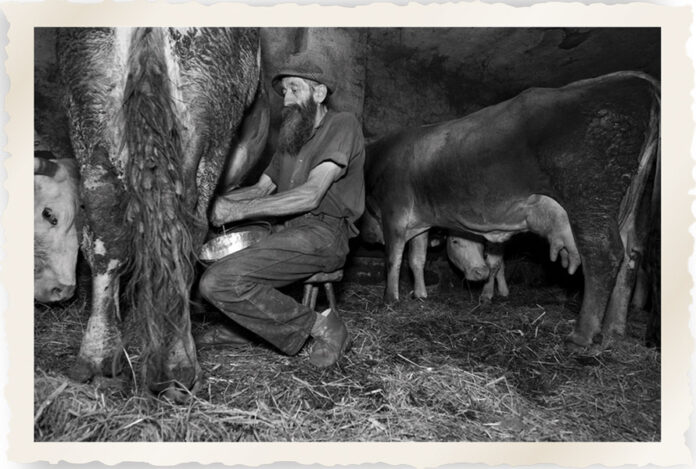 Ecco il “bruss” per chi ama i piaceri forti