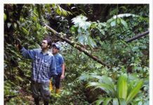 “Entrate con me nel mondo degli insetti”