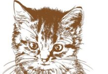 Voler insegnare ai gatti a “rampignèsi”