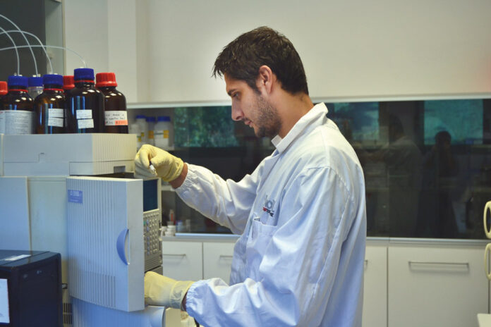 Dalle viti per i dentisti alla vite che aiuta a restar giovani