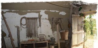 Pareti scavate nel tufo e un tetto di fossili