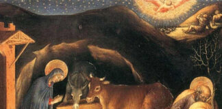 Il bue e l’asinello protagonisti non solo nel presepe