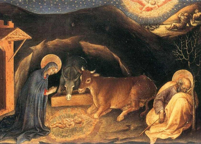 Il bue e l’asinello protagonisti non solo nel presepe