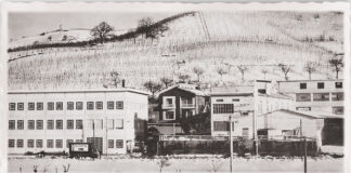 Dalle reti per salumi è nata l’idea del Surgifix