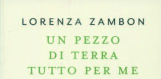 Dove c’era il gerbido ora alberi e un sentiero. Una ode al giardino