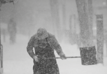 In ogni stagione attenti ai fafiuchƩ