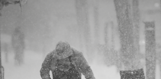 In ogni stagione attenti ai fafiuché